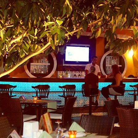 Narcis Alanya