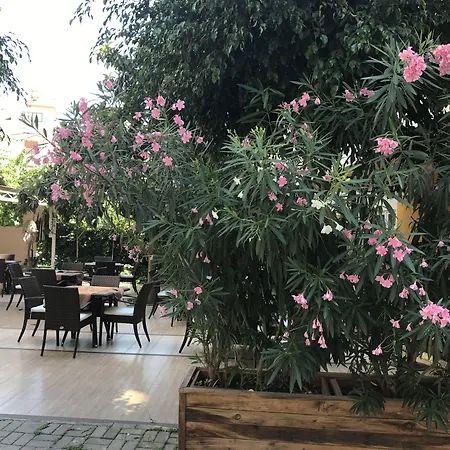 Narcis 아파트호텔 4*