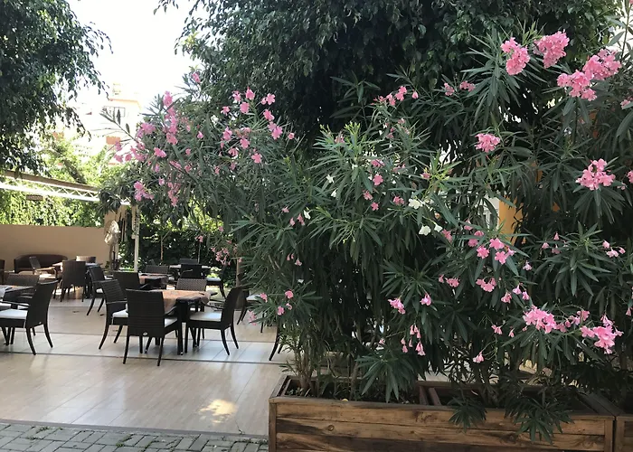 Narcis מלון דירות 4*